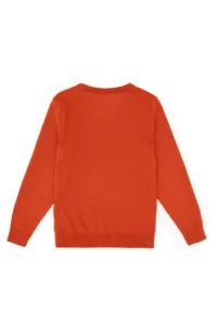 US Polo Assn. Boys' Brick Rejection V-neck Basic Sweater - Image 2