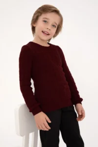 US Polo Assn. Boys' Burgundy Crew Neck Basic Sweater