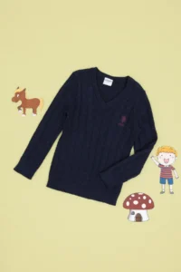US Polo Assn. Boys' Navy Blue V-neck Basic Sweater