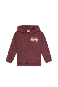US Polo Assn. Boys' Burgundy Hooded Sweatshirt