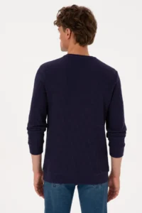 US Polo Assn. Men Crew Neck Regular Fit Petek textured Plum Sweatshirt - Image 5