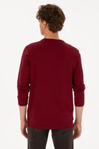 US Polo Assn. Men Crew Neck Regular Fit Burgundy Thin Sweatshirt - Image 5