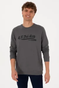 US Polo Assn. Men Crew Neck Regular Fit Gray Thin Sweatshirt - Image 3