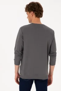 US Polo Assn. Men Crew Neck Regular Fit Gray Thin Sweatshirt - Image 5