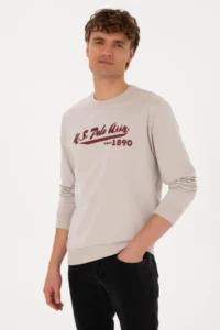 US Polo Assn. Men Crew Neck Regular Fit Stone Thin Sweatshirt - Image 3