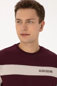 US Polo Assn. Men Regular Fit Crew Neck Burgundy Sweatshirt - Image 2