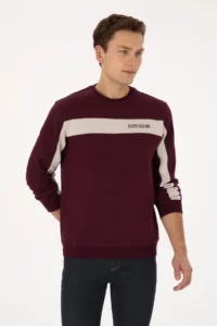 US Polo Assn. Men Regular Fit Crew Neck Burgundy Sweatshirt - Image 3