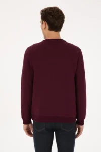 US Polo Assn. Men Regular Fit Crew Neck Burgundy Sweatshirt - Image 5