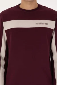 US Polo Assn. Men Regular Fit Crew Neck Burgundy Sweatshirt - Image 6