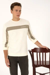 US Polo Assn. Men Regular Fit Crew Neck Cream Sweatshirt - Image 3