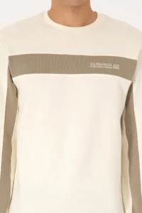 US Polo Assn. Men Regular Fit Crew Neck Cream Sweatshirt - Image 6