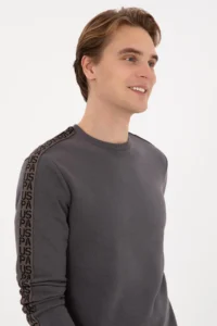 US Polo Assn. Men Regular Fit Crew Neck Gray Sweatshirt - Image 2