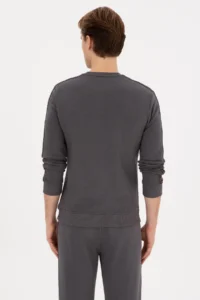 US Polo Assn. Men Regular Fit Crew Neck Gray Sweatshirt - Image 5