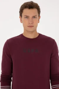US Polo Assn. Men Regular Fit Crew Neck Burgundy Sweatshirt - Image 2