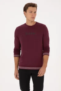 US Polo Assn. Men Regular Fit Crew Neck Burgundy Sweatshirt - Image 3