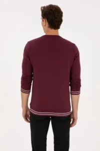 US Polo Assn. Men Regular Fit Crew Neck Burgundy Sweatshirt - Image 5