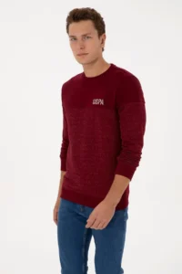 US Polo Assn. Men Regular Fit Crew Neck Burgundy Sweatshirt - Image 3