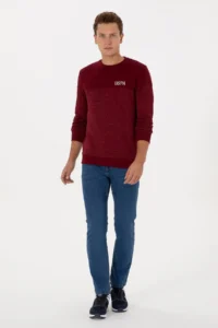 US Polo Assn. Men Regular Fit Crew Neck Burgundy Sweatshirt - Image 4