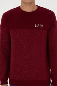 US Polo Assn. Men Regular Fit Crew Neck Burgundy Sweatshirt - Image 6