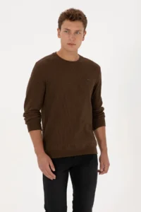 US Polo Assn. Men Regular Fit Crew Neck Brown Sweatshirt - Image 3