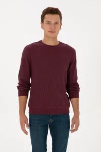 US Polo Assn. Men Regular Fit Crew Neck Burgundy Sweatshirt