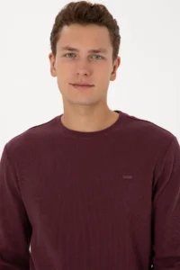 US Polo Assn. Men Regular Fit Crew Neck Burgundy Sweatshirt - Image 2