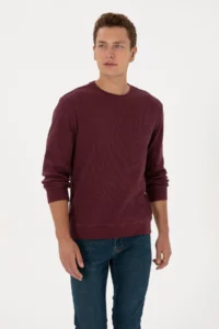 US Polo Assn. Men Regular Fit Crew Neck Burgundy Sweatshirt - Image 3