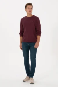 US Polo Assn. Men Regular Fit Crew Neck Burgundy Sweatshirt - Image 4