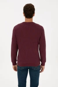 US Polo Assn. Men Regular Fit Crew Neck Burgundy Sweatshirt - Image 5