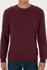 US Polo Assn. Men Regular Fit Crew Neck Burgundy Sweatshirt - Image 6