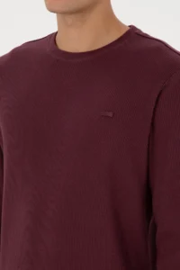 US Polo Assn. Men Regular Fit Crew Neck Burgundy Sweatshirt - Image 7