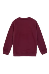 US Polo Assn. Boys' Burgundy Fleece Crew Neck Sweatshirt - Image 2
