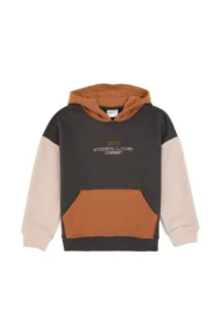 US Polo Assn. Boys' Gray Hooded Sweatshirt - Image 2