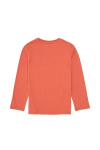 US Polo Assn. Boys' Dusty Rose Crew Neck single jersey Sweatshirt - Image 2