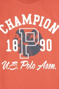 US Polo Assn. Boys' Dusty Rose Crew Neck single jersey Sweatshirt - Image 3