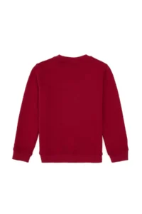 US Polo Assn. Boys' Koyu Raspberry Sweatshirt - Image 2