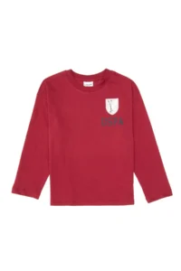 US Polo Assn. Boys' Koyu Raspberry Crew Neck single jersey Sweatshirt