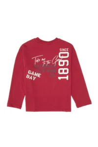 US Polo Assn. Boys' Koyu Raspberry Crew Neck single jersey Sweatshirt - Image 2
