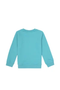 US Polo Assn. Boys' Mint Crew Neck Sweatshirt - Image 4