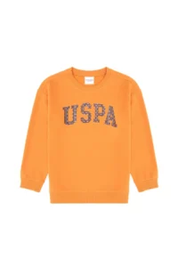 US Polo Assn. Boys' Copper Crew Neck Thin Sweatshirt - Image 3