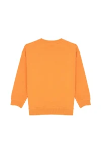 US Polo Assn. Boys' Copper Crew Neck Thin Sweatshirt - Image 4