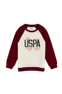 US Polo Assn. Boys' Burgundy Crew Neck Sweatshirt - Image 4