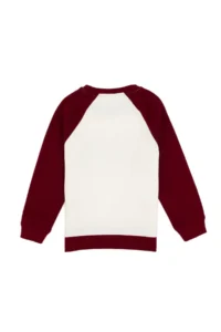 US Polo Assn. Boys' Burgundy Crew Neck Sweatshirt - Image 5