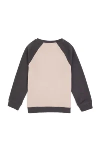 US Polo Assn. Boys' Gray Crew Neck Sweatshirt - Image 4