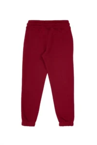 US Polo Assn. Boys' Burgundy Sweatpants - Image 5