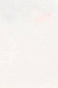 US Polo Assn. Girls' Cream Knitting Skirt - Image 5