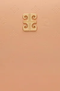 Pierre Cardin Salmon Shoulder Bag - Image 7