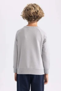 DeFacto -Fw Boys' Sweatshirt - Image 5