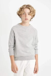 DeFacto Boy's Gray Crew Neck Cotton Basic Plain School Sweatshirt - Image 4