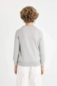 DeFacto Boy's Gray Crew Neck Cotton Basic Plain School Sweatshirt - Image 6
